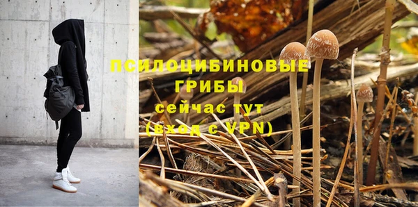 mdpv Сосновоборск