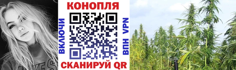 mega как зайти  Сосногорск  Бошки марихуана сатива 